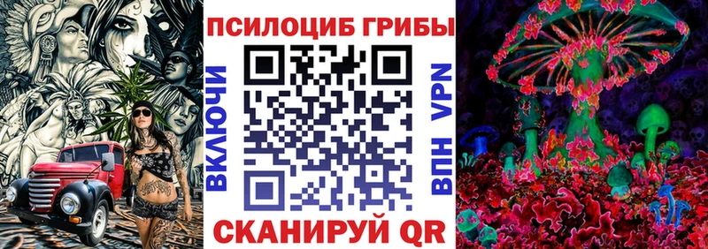 где купить наркотик  Сим  Псилоцибиновые грибы GOLDEN TEACHER 